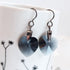 Graphite Crystal Titanium Drop Earrings