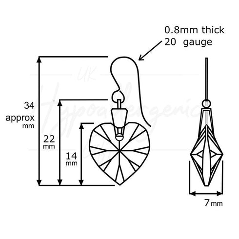 Graphite Crystal Titanium Drop Earrings
