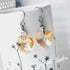 Golden Shadow Crystal Titanium Drop Earrings
