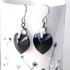 Jet Black Crystal Titanium Drop Earrings
