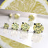 Light Yellow Cubic Zirconia Titanium Earrings
