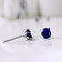 Sapphire Blue Cubic Zirconia Titanium Earrings
