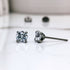 Clear Cubic Zirconia Titanium Earrings